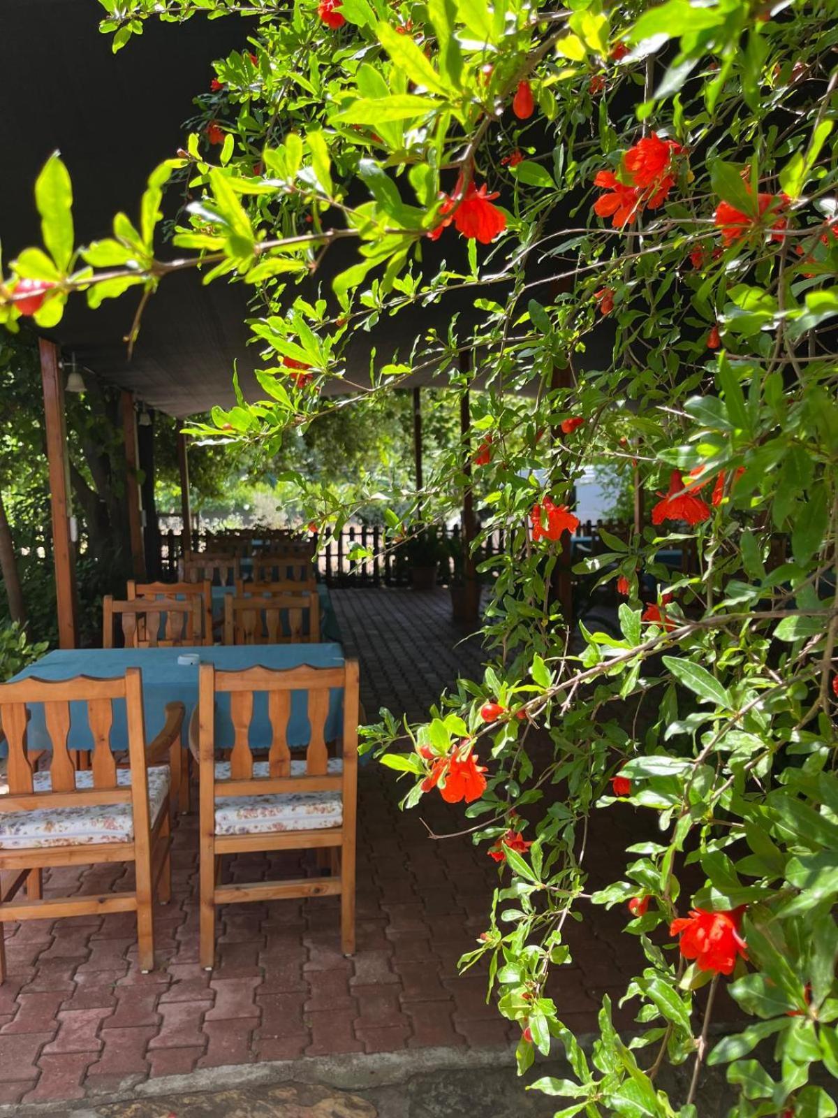 Olympos Yavuz Hotel Чирали Екстериор снимка